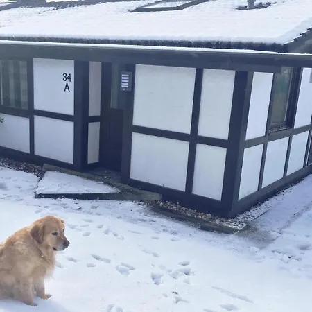 Amazing In With Wifi Vakantiehuis