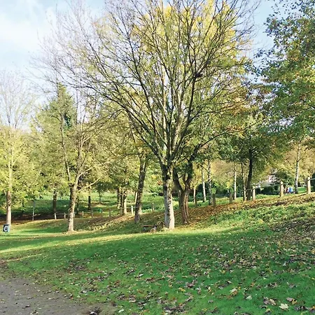 Amazing In With Wifi *