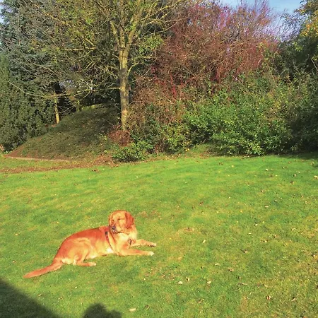 Amazing In With Wifi Дом отдыха Мешеде