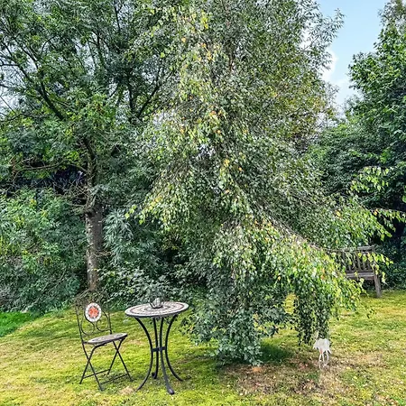 Amazing In With Wifi