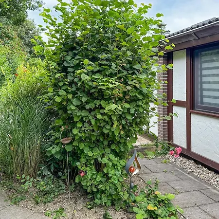 Amazing In With Wifi Дом отдыха Мешеде