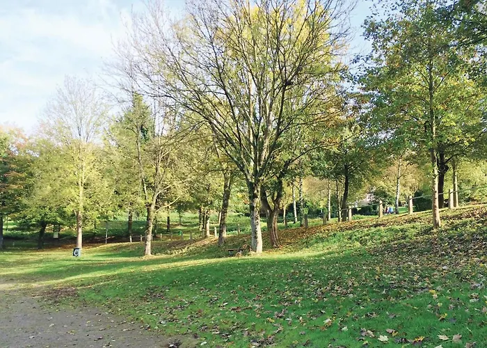 Amazing In With Wifi *