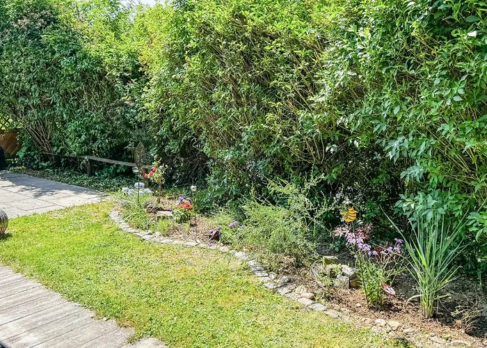 Amazing In With Wifi * ميشيده