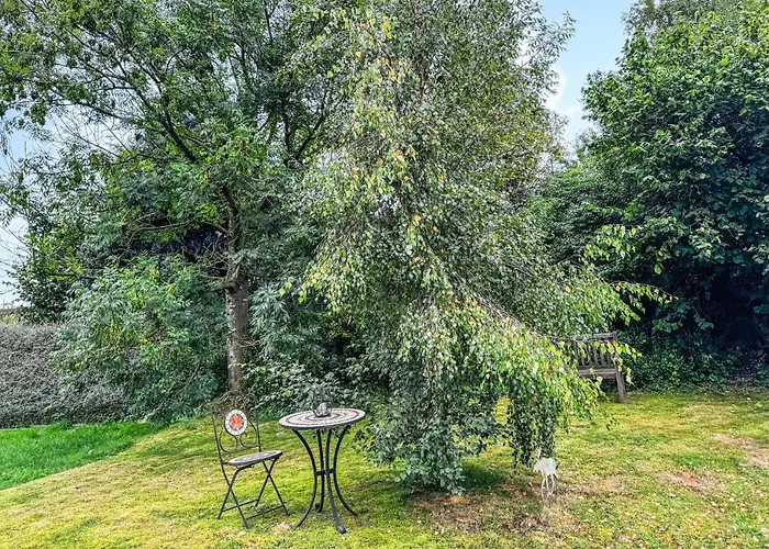 Amazing In With Wifi